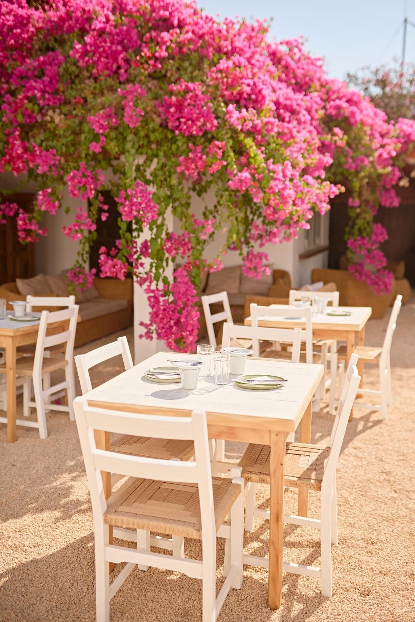 Ibara Ibiza Hotel Boutique Es Canar  Bagian luar foto